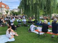 viele Menschen auf der Neckarwiese auf Bierbänken, Picknickdecken und Stühlen