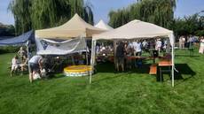 zwei Pavillionzelte der Kirche Kunterbunt auf der Neckarwiese mit Besuchern