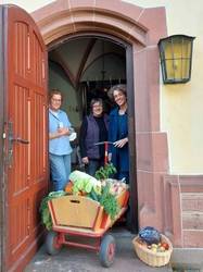 Quelle: Diakonisches Werk Heidelberg